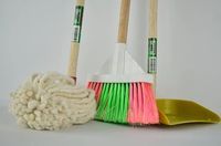 Domestic Cleaning Services - 18976 achievements