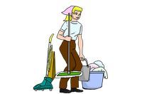Regular Domestic Cleaning - 31364 kinds