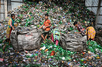 почистване на биологичен отпадък - 2331 чисти