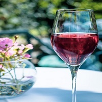 Вино розе - 74503 предложения