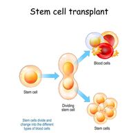 съхраняване на стволови клетки - 52981 промоции