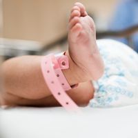 Стволови клетки от пъпна връв - 32527 възможности Стволови клетки от пъпна връв - 34773 възможности